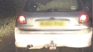 Driver of car stopped with sheep: ‘I took it for a treat to McDonald’s’