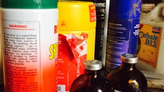 How to reduce the spread of infection in cattle on your farm