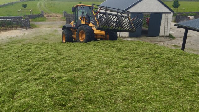 silage