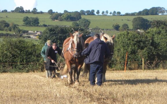 ploughing