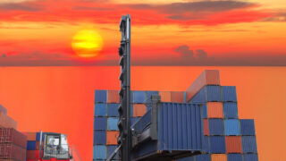 Pork and vegetables drive EU agri-food exports up in January