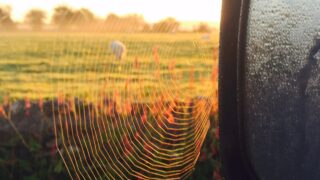 Here’s how to make your farm safer over the winter months