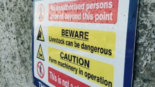 Woman (70s) dies after being attacked by cattle