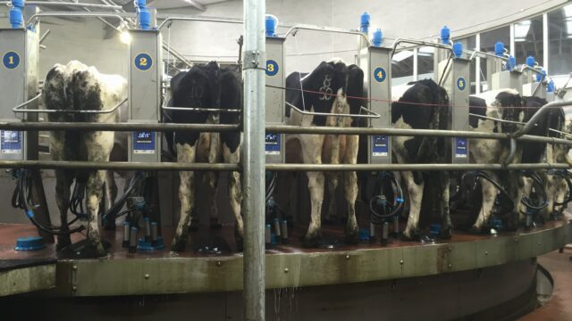 dairy farmers UK