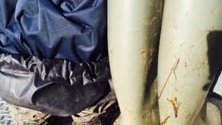 How realistic are you when it comes to biosecurity?
