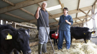 UK farmers urged to contact vets as Bluetongue outbreaks continue in France