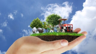 Greenhouse gas emissions from agriculture overtake those from industry