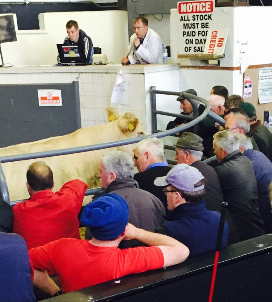 QUIZ: Fancy yourself as a good judge of stock? Test ...