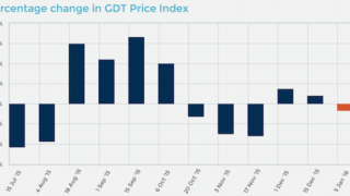 Global Dairy Trade records drop in first auction of the New Year