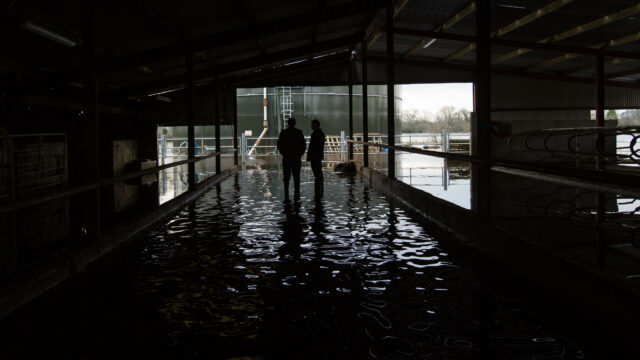 Flooding ICMSA farmyard