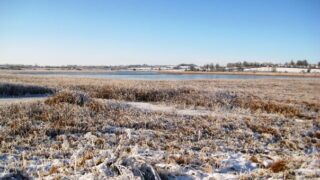 US winter storm Goliath to have ‘lingering affect’ on milk supply