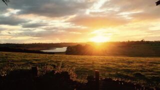See how much an acre of land cost last year in your province