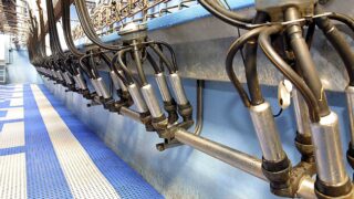 Kerry follows Glanbia and Lakelands, cuts milk price