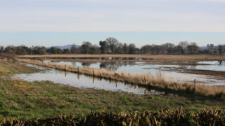 Farmers in the North hit by flooding to benefit from £1,000 relief