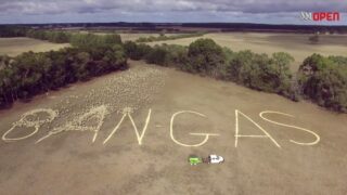 Video: Aussie farmer uses 2,000 sheep to protest against gas mining