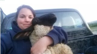 ‘Carry on designing kitchens or take over managing the farm?’