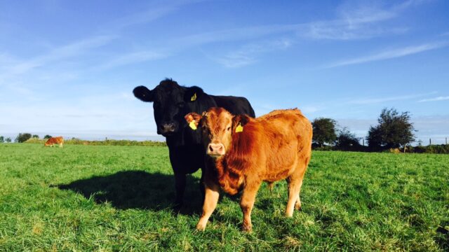 Environmental Farming Scheme Northern Ireland, emissions,