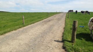 Scottish government creates ‘starter farms’ for new entrants