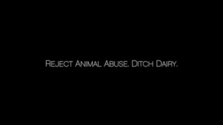 Video shows shocking cruelty on Canada’s largest dairy farm