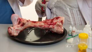 Over 10,000t of hazardous fake food seized by Europol