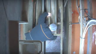 French abattoir investigation after graphic video shows animal abuse