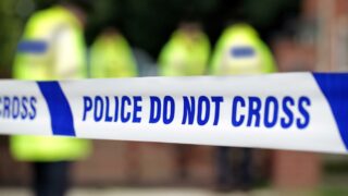 Appeal for witnesses after up to 70 hens stolen from a field