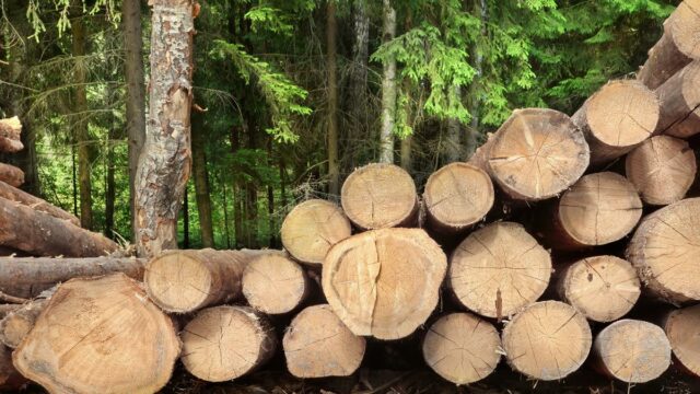 Forestry Teagasc