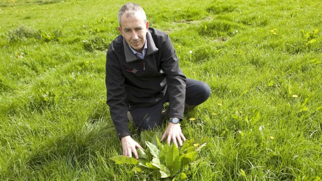 contract spraying