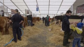 Video: The highlights of Day One of the Balmoral Show