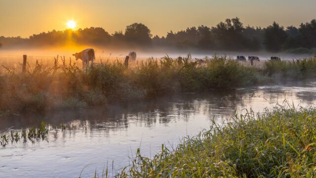 nature waterbodies