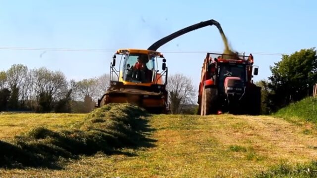 Silage, Met Eireann,