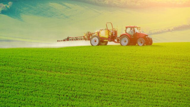 glyphosate