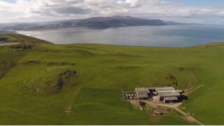 Video: Farm for lease for €1.30 a year includes free sheep flock!