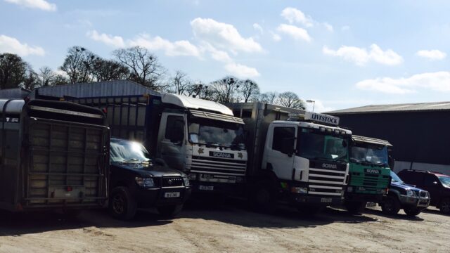 Livestock, mart, farmer, haulier