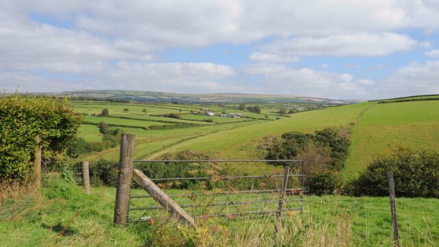 green fields and fences