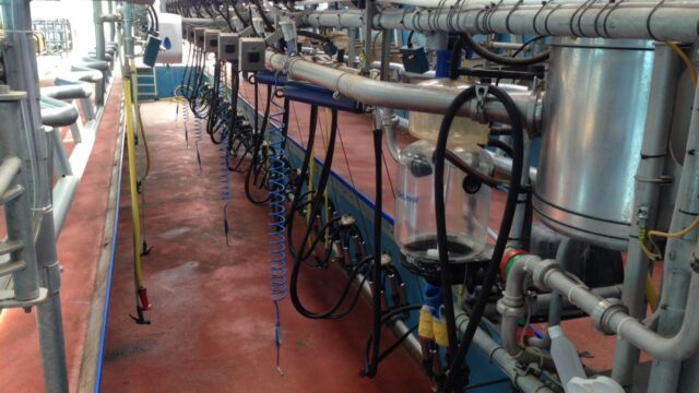 dairy, milking parlour, milking