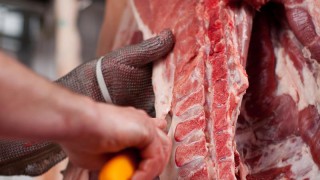 Organic beef trade hit by sterling collapse