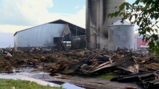 Video: Fire on family-run dairy farm kills 160 cows