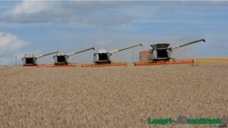 Amazing footage shows four Claas combines working together for the harvest
