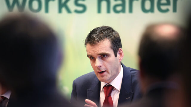 Joe Healy fodder