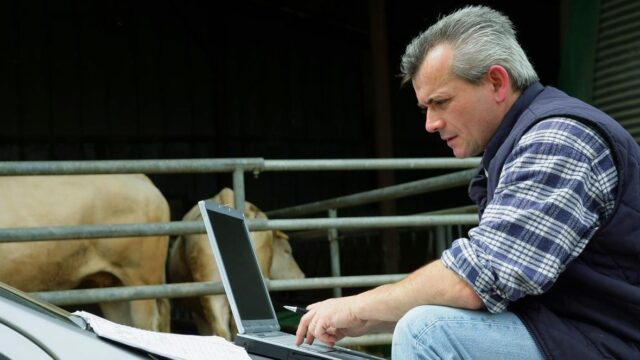 Carmarthen farmers