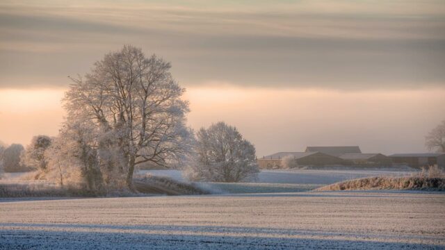 Snow, Winter, Farming, Met Eireann,