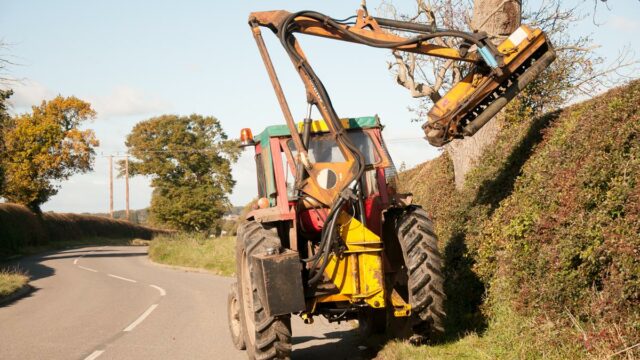 Hedgecutting