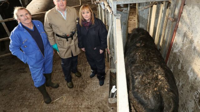 Minister Michelle McIlveen reiterated her commitment to eradicating TB during a farm visit where she observed cattle being tested. (left to right) Farmer Barry Stephens joins DAERA vet John Kennedy and Miss McIlveen.