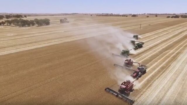 harvest