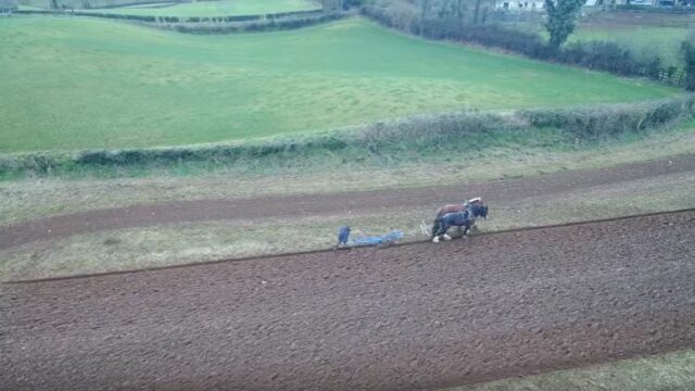 horses, ploughing, farmer