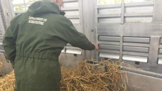 Fears mount over ‘agri budget underspend’ in Northern counties