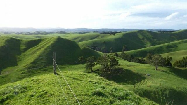 farm, New Zealand