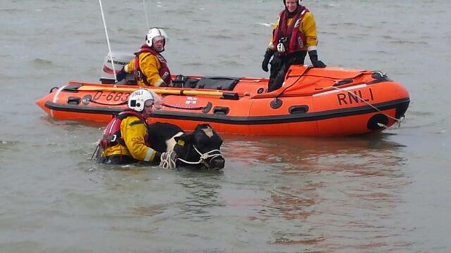 RNLI, Lifeboat, Sea