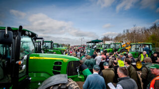 Pics: Irish buyers strong on ‘red’ and ‘blue’ but not ‘green’ at this month’s major auction in Cambridge